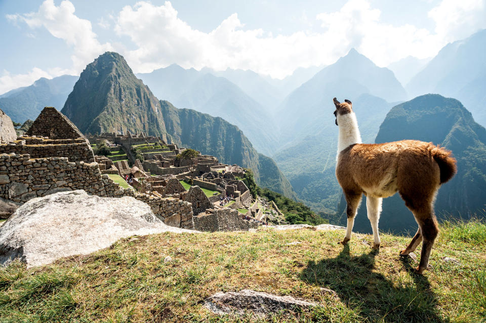 Machu Picchu in Cusco, Peru