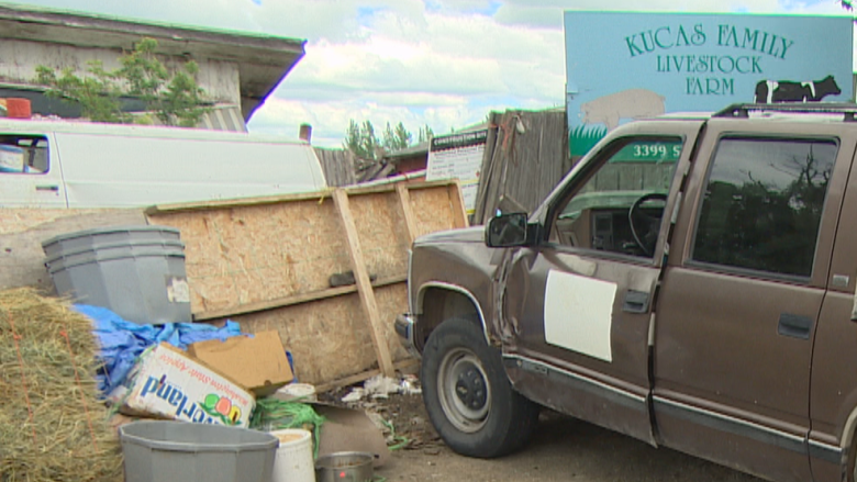 After years of complaints, neighbours vent frustration over ramshackle city farm