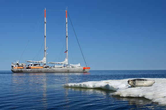 A seal lies on an iceberg in front of the research vessel Tara, in 2013.