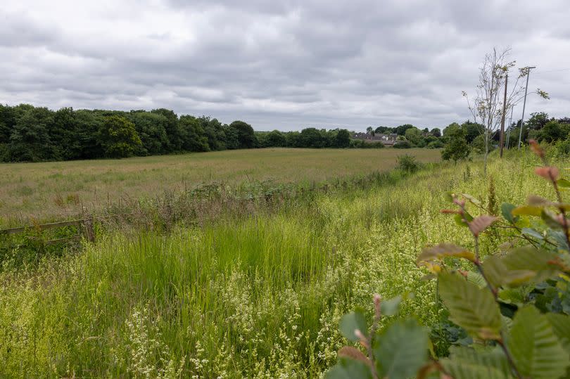 Green land in Salford.