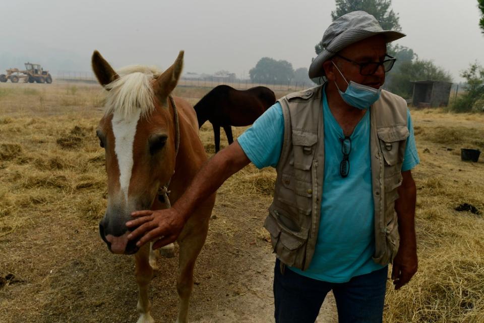 A man touches a horse as the smoke of a wildfire spreads over a mountain in Ellinika village on Evia island (AP)