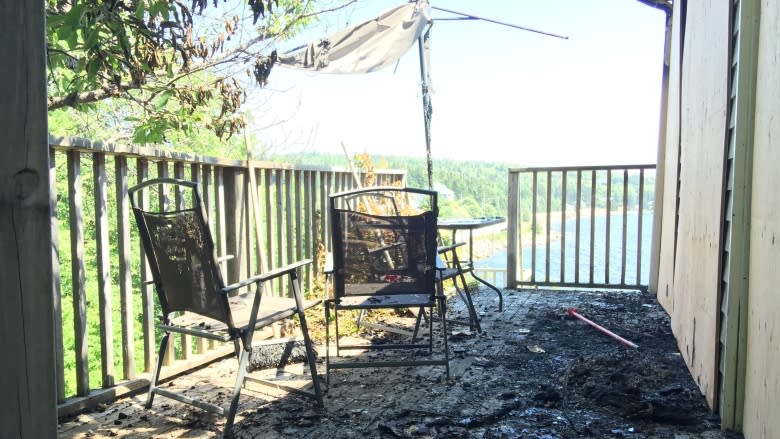 'It was unbelievable': Nova Scotia family loses home and dogs in fire caused by lightning