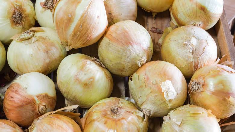 Sweet Vidalia onions  