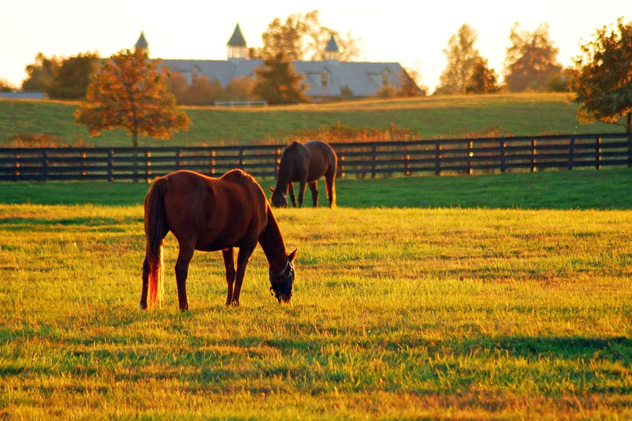 The sun sets on Horse Country in the Blue Grass Region of Kentucky