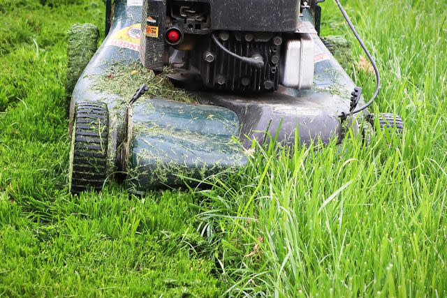 <p>Akchamczuk / Getty Images</p> Leaving grass clippings on the lawns adds nitrogen