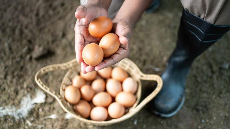 basket of eggs with person holding several