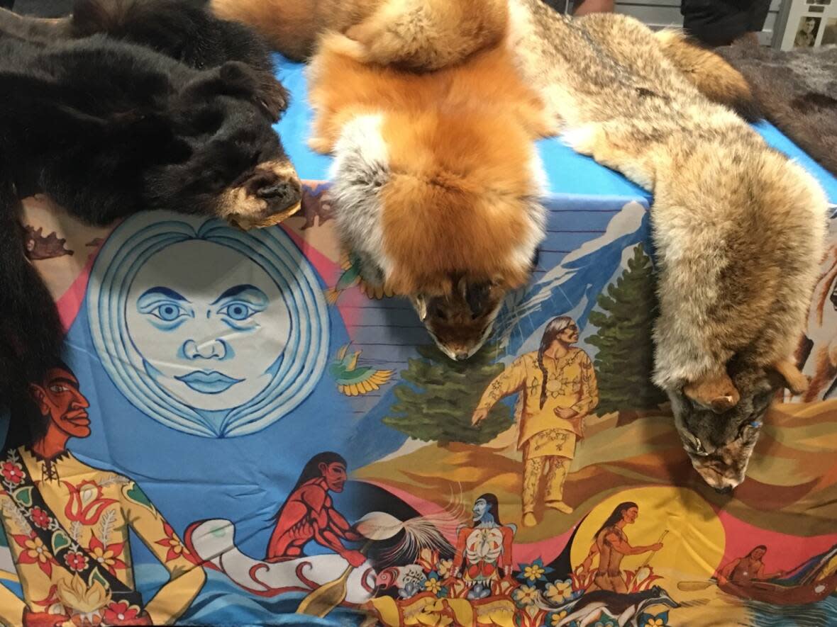 Animal pelts hang over a table at the CNE in August 2022, draped with a mural that tells the story of the Mississaugas of the Credit First Nation. The Toronto District School Board voted Wednesday to replace its current mandatory Grade 11 English course with one titled Understanding Contemporary First Nations, Metis and Inuit Voices. (Muriel Draaisma/CBC - image credit)