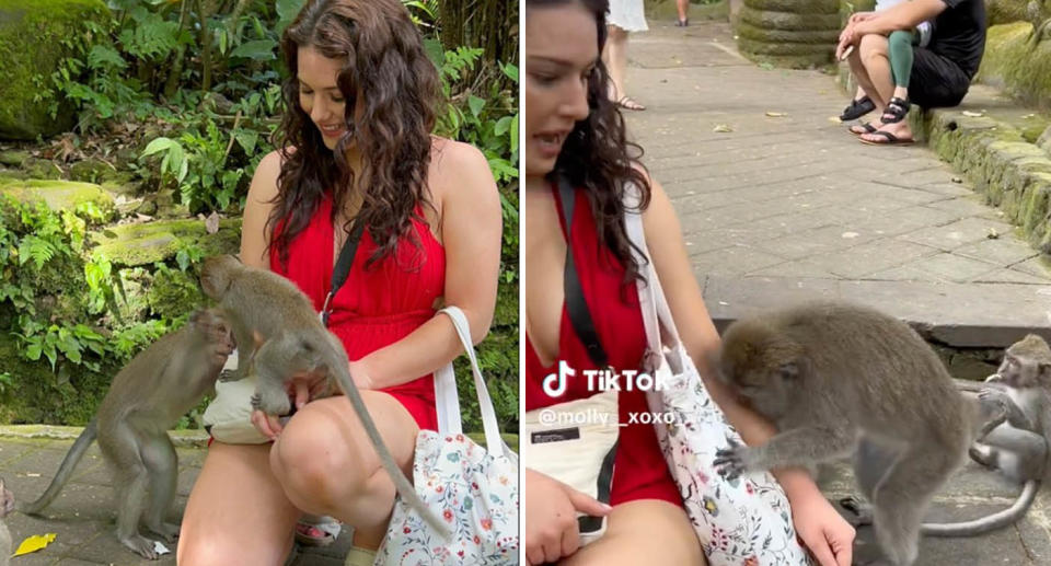 Woman wearing red bitten by monkey at Ubud Monkey Forest in Bali.