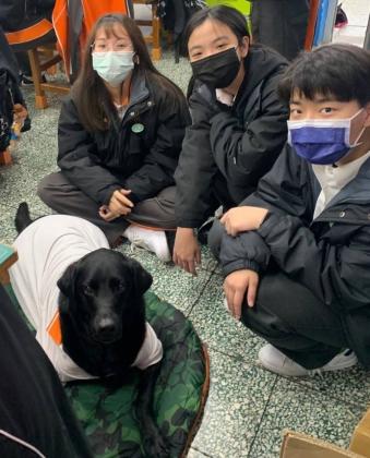 退役導盲犬Quinby獲最佳人氣獎