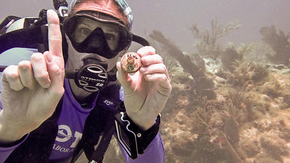 Sarah Hamlyn, a senior biologist and Upper Keys Coral Restoration Operations Manager for Mote Marine Laboratory & Aquarium shows off the coral plug made by Sara Stanczyck, whose family owns and operates Bud ‘N Mary’s Marina in Islamorada, prior to planting it on Alligator Reef.