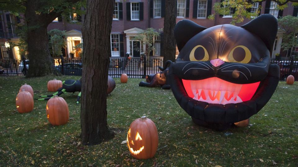 yard with giant inflatable black cat head and jack o lanterns