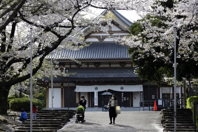 People wearing protective face masks walk under the cherry blossoms as petals fall from the trees at Zojoji Buddhist temple in Tokyo