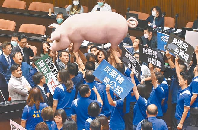 經濟部長王美花面對立委頻頻詢問願不願意帶頭吃美牛美豬，王美花表示，「只要符合國際規定，美豬美牛沒有道理不能吃。」。圖為9月立法院開議，邀請相關部會首長列席報告美豬、美牛進口議題並備詢，國民黨立委拿著大型豬道具要送給蘇貞昌表達反對美豬牛進口的立場。（本報資料照片）