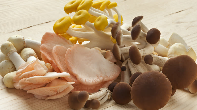 variety of specialty mushrooms