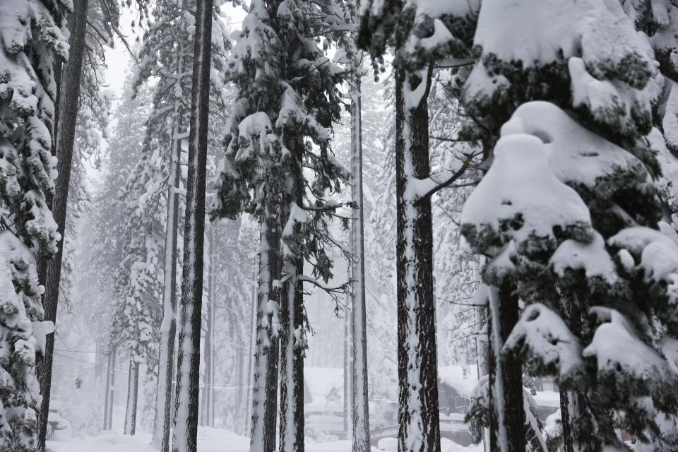 Trees and homes are covered in snow during a powerful multiple day winter storm in the Sierra Nevada mountains, which is boosting the snowpack, on March 03, 2024 in Truckee, California.