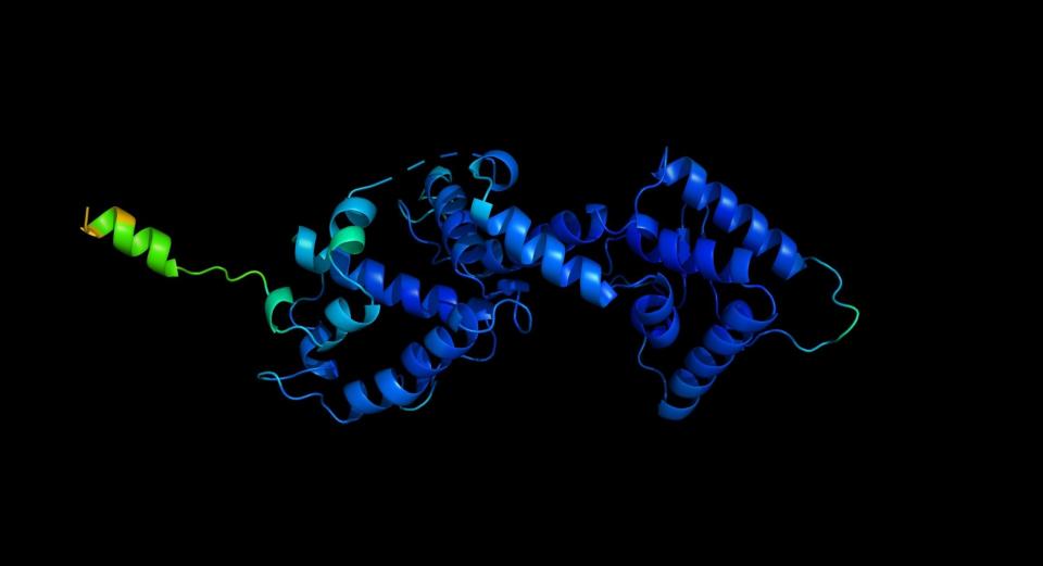 <p>A three-dimensional digital rendering of a protein</p>Deepmind/PA