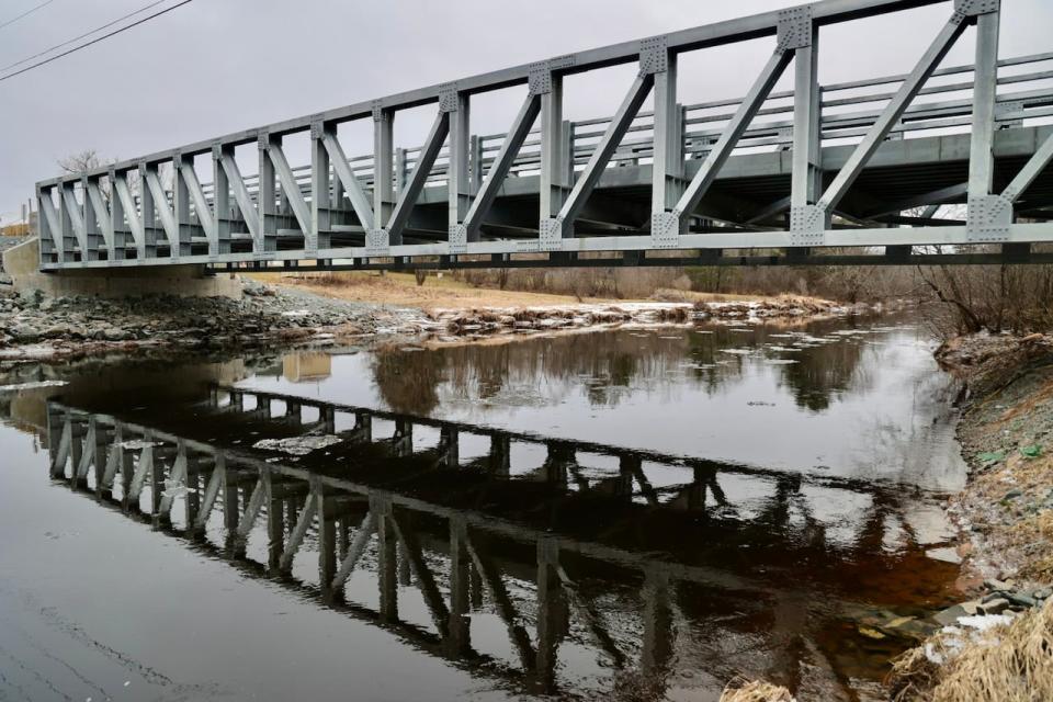 The bridge provides a critical connection between two sides of the Lantz community according to the East Hants MLA.