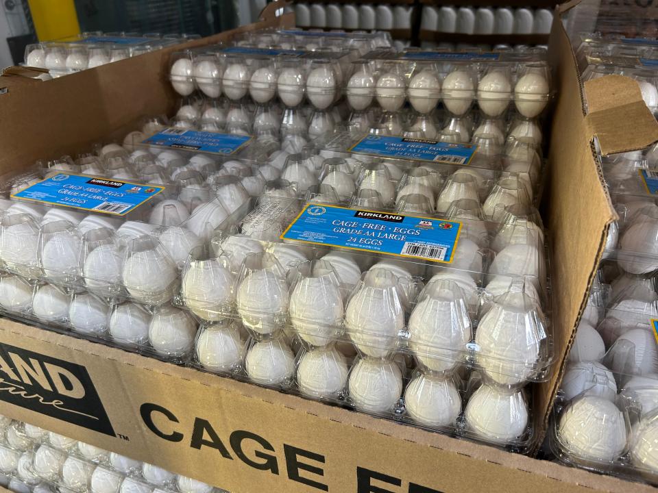 Kirkland eggs in plastic packages stacked on each other in a box at Costco