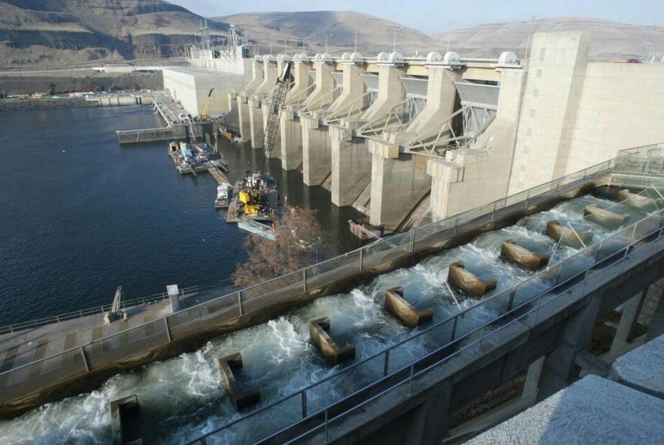 Water from the Snake River rushes down a fish ladder at Lower Monumental Dam.