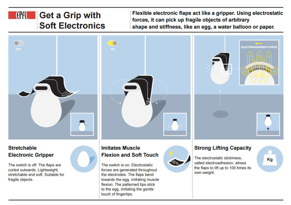 Object gripping test shows that gripper F1 can pickup a variety of