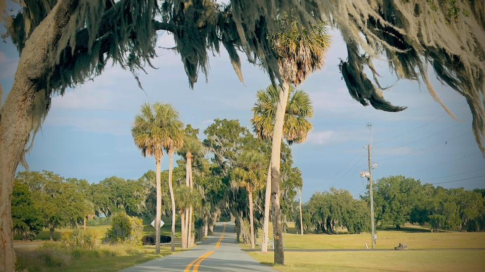 As you drive along its scenic stretch, palm trees and oaks line Sunnyside Drive, creating a postcard-like panorama.
