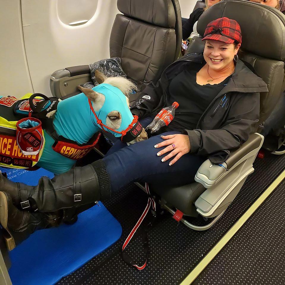 Michigan Woman Brings Miniature Horse on Plane as Her Service Animal: &#39;He Is So Bonded with Me&#39;