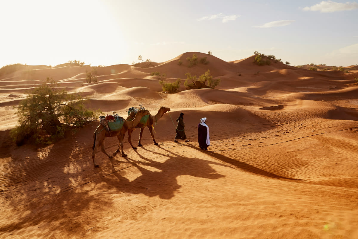 Chadian Nomads