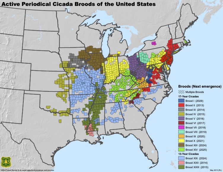 a map of where the cicadas will emerge