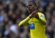 Newcastle United's Loic Remy celebrates his goal against Tottenham Hotspur during their English Premier League soccer match at White Hart Lane in London November 10, 2013.