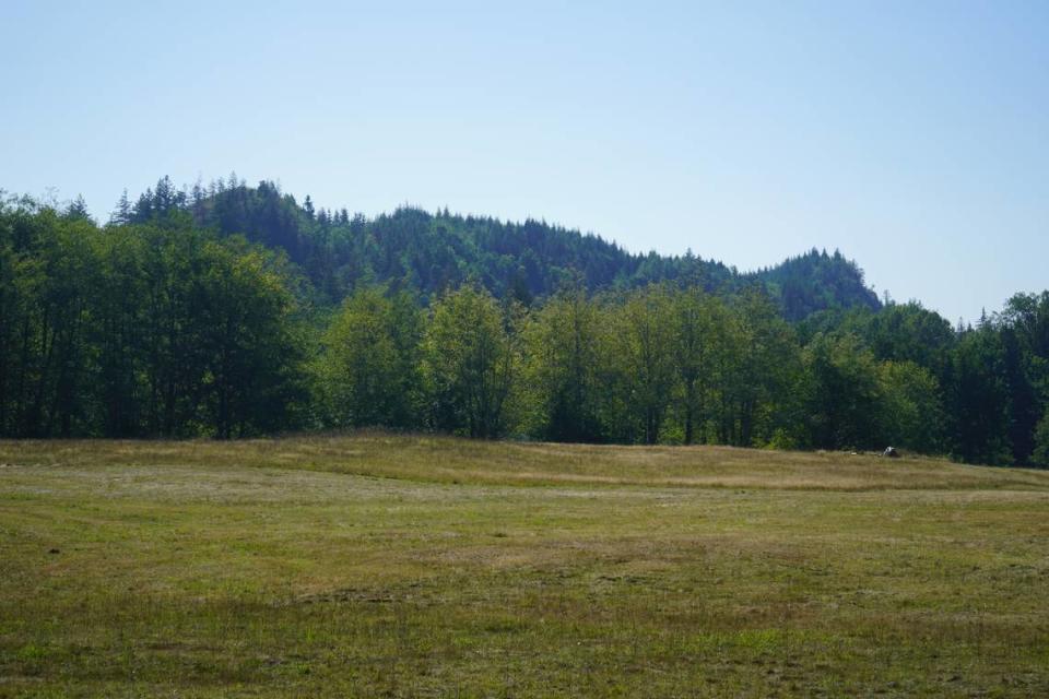 The forested hills on the site of the proposed Ranch Quarry Mine in Whatcom County can be seen from a viewpoint on a neighbor’s property on Frost Road. The project proposes the removal of about 13.7 million cubic yards of material.