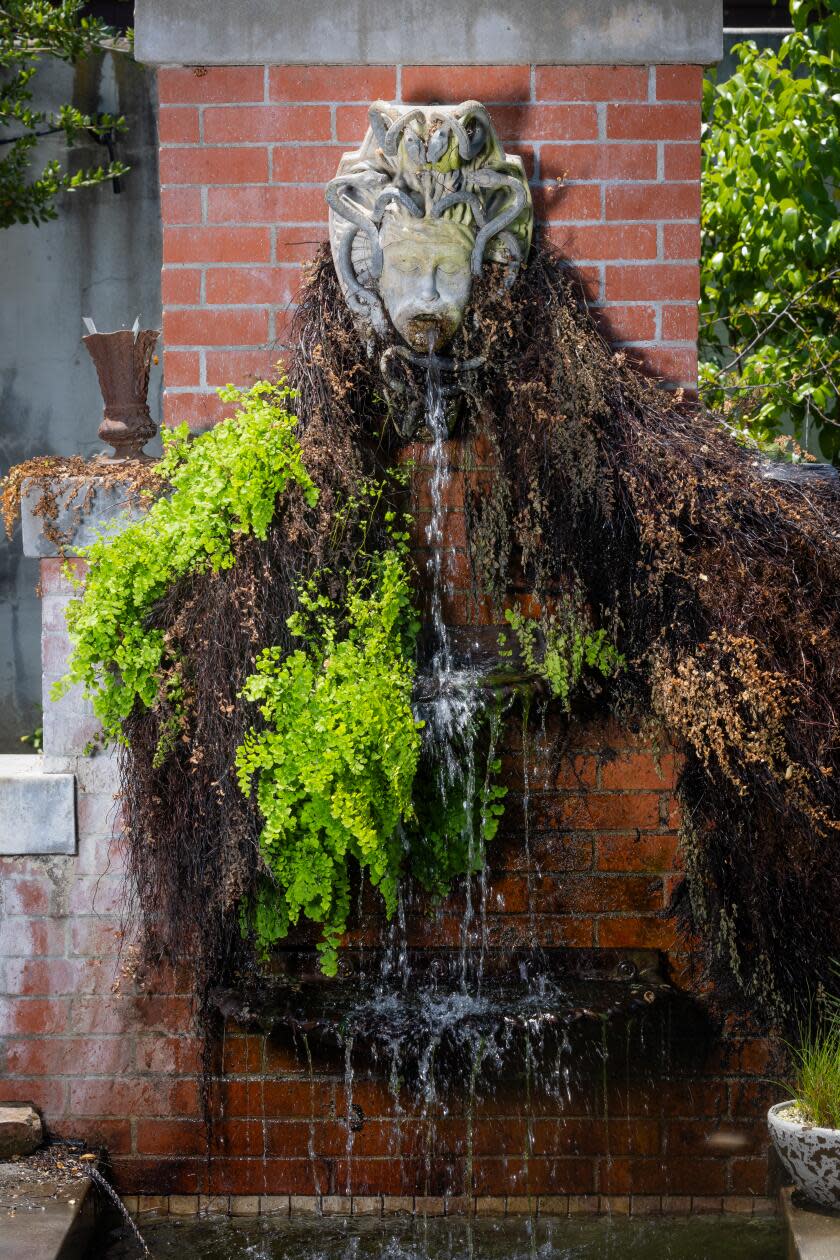 A fountain bearing a relief of Medusa's head pours into the koi pond in the backyard.