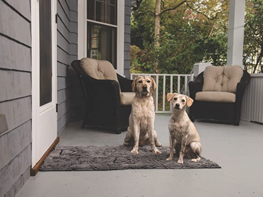 Absorbent Door Mat For Muddy Paws Quick drying Dog Paw - Temu