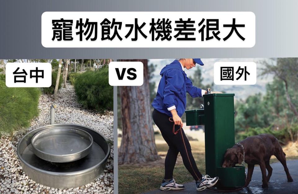 市議員賴佳微質疑中央公園的寵物飲水設備裡頭長青菩。   台中市議員賴佳微/提供