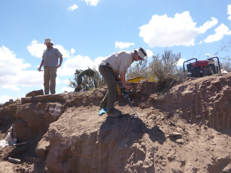 Paleontologists work at an excavation site in Argentina's northern Patagonia region