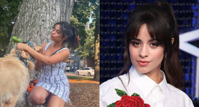 Camila Cabello stuns fans in $240 dress from Reformation while out with  Shawn Mendes