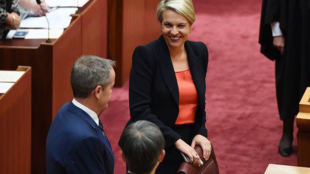 eputy Leader of the Opposition Tanya Plibersek chuckles after Governor General Peter Cosgrove didn't shake her hand during the reopening of Parliament in the Senate chamber. Photo: AAP