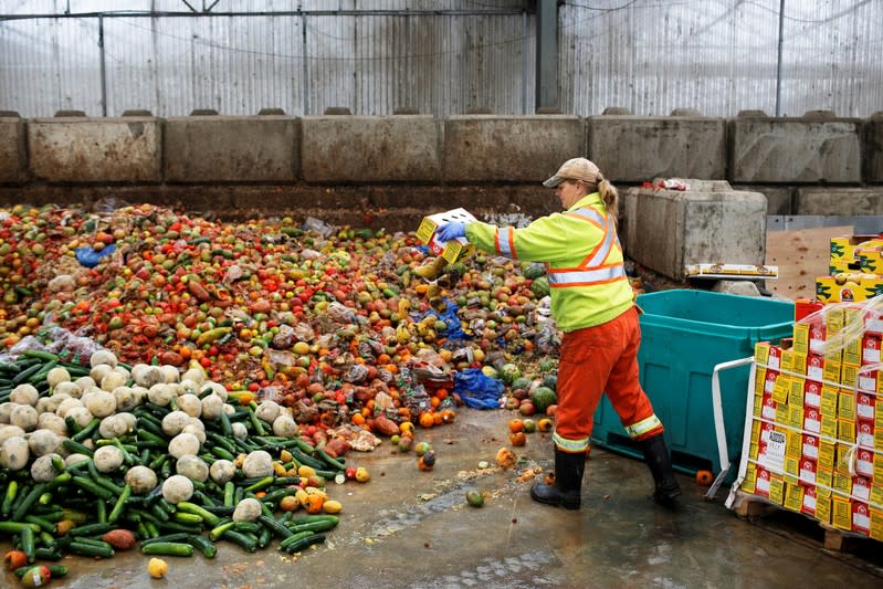 FILE PHOTO: A worker dumps pre-consumer food waste before being feed to black soldier fly larvae at the Enterra Feed Corporation in Langley,