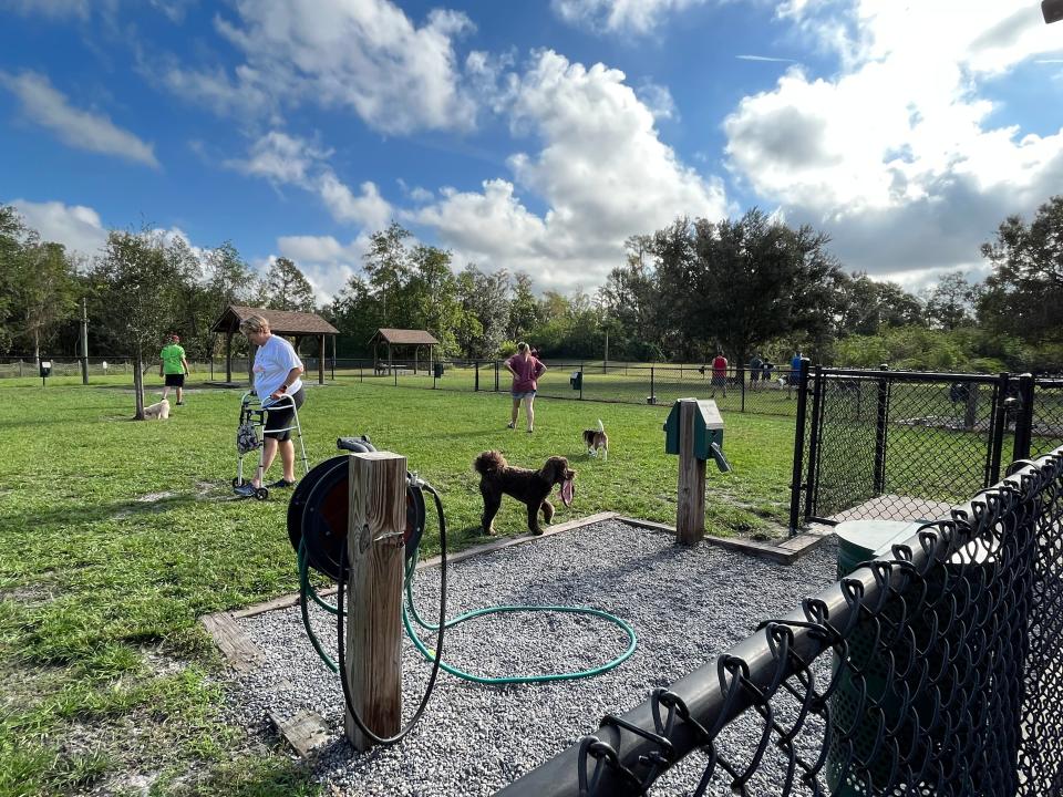 dog park at disney world