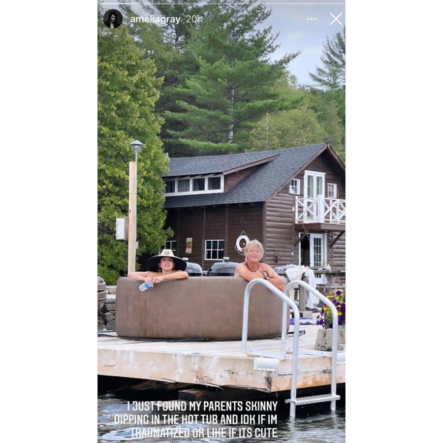 Amelia Gray Hamlin Trolls Her Parents Lisa Rinna and Harry Hamlin With Pic of Them Skinny Dipping 4