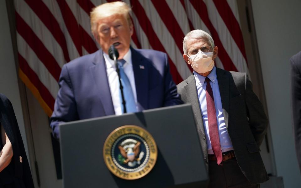 Director of the National Institute of Allergy and Infectious Diseases Anthony Fauci (R) behind Donald Trump during a White House press conference -  MANDEL NGAN/AFP via Getty Images