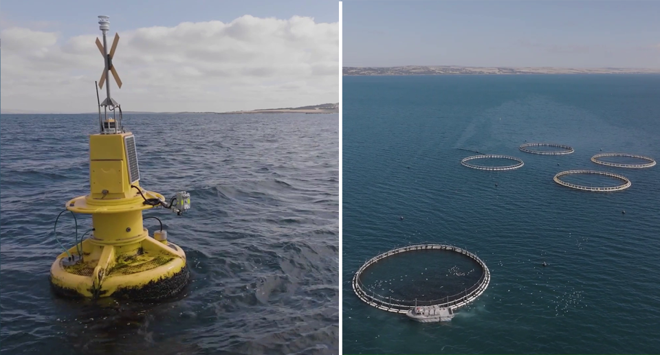 An ocean sensor (left). Aerial image of fish farms (right)