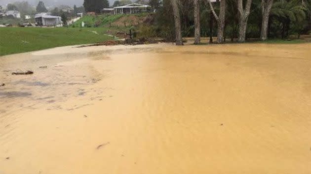 Angela Blyth shared this photo of flooding on her farm in Coromandel. Source: Angela Blyth