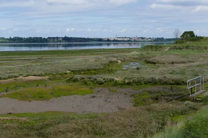 Wrabness Nature Reserve is loved by birdwatchers