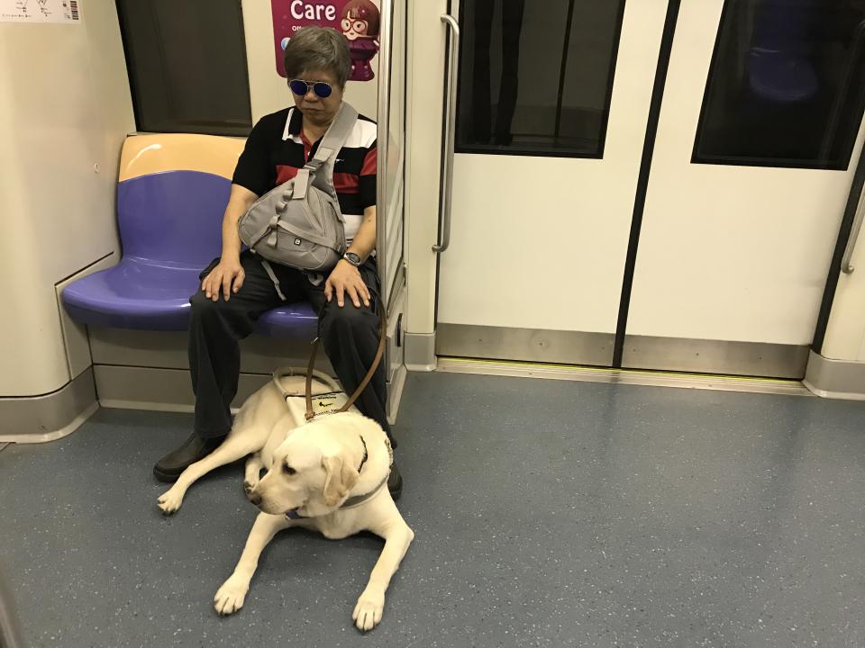 Gary Lim and his guide dog Jordie on the MRT. Photo: Hannah Teoh/Yahoo News Singapore