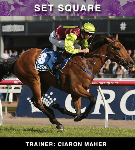 VRC Oaks winner Set Square will be representing as one of the top mares from Australia.