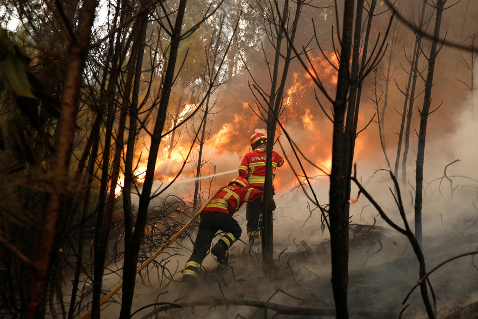 Wildfires ravage Portugal