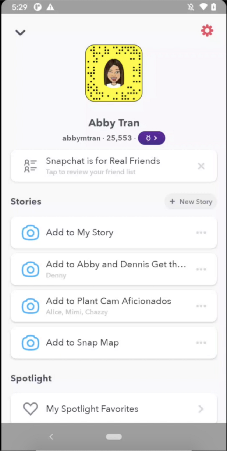 Snapchat's Friend Check Up tool