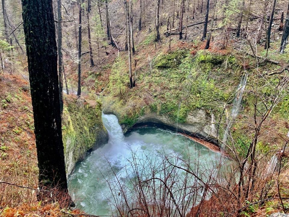 Punchbowl Falls se puede observar desde Eagle Creek Trail en Columbia River Gorge cerca de Cascade Locks. El sendero presenta cascadas, colores otoñales y puentes altos. El sendero fue el sitio del incendio Eagle Creek de 2017, que dejó cicatrices de quemaduras a lo largo de la caminata.