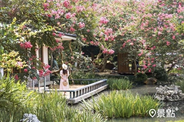 紫薇花海日式庭園 1 迷你台版兼六園禪風花景必賞