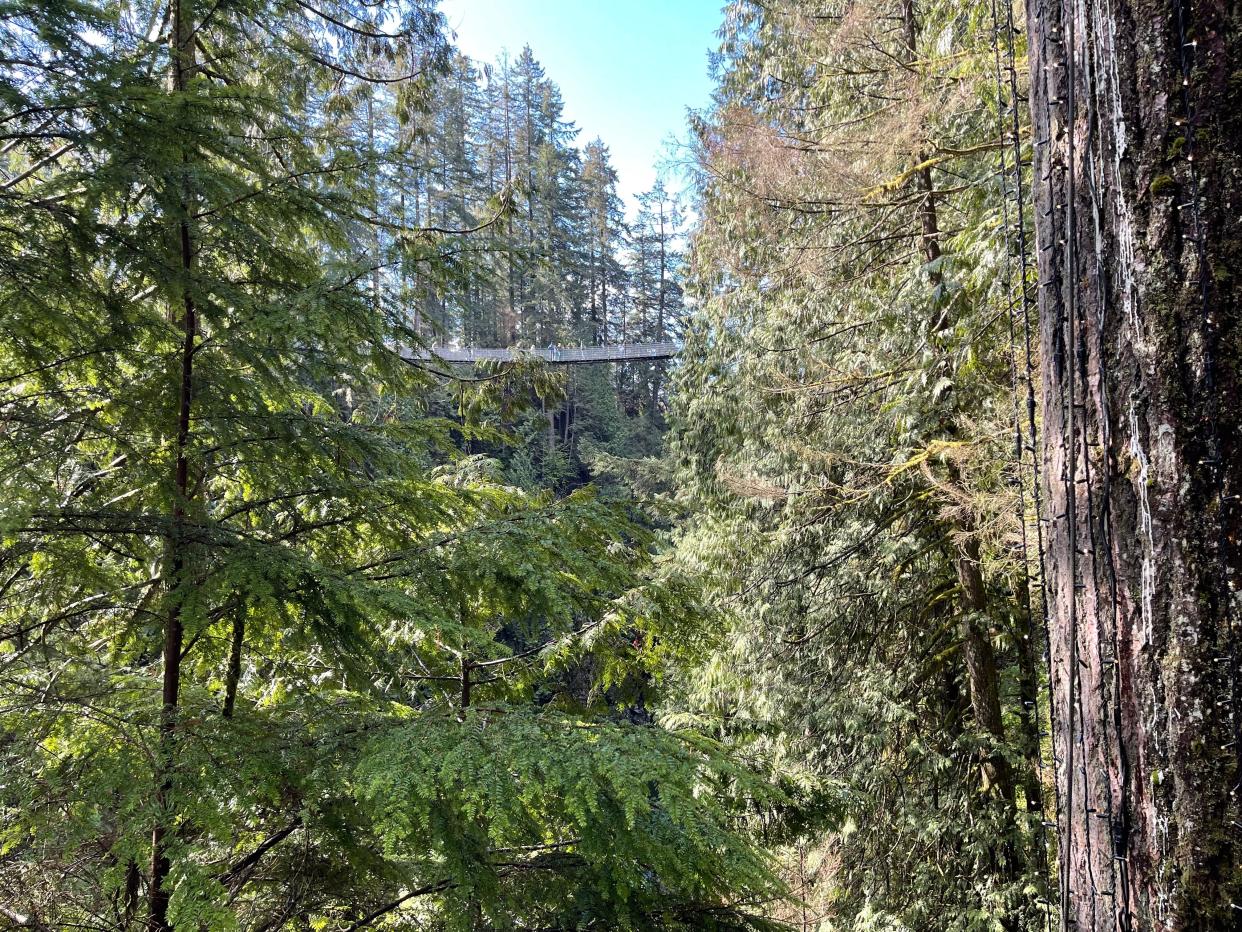 Capilano Suspension Bridge Park View of bridge